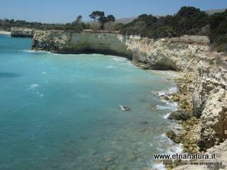 Pineta_del_Gelsomineto - 22-02-2015 11-57-14.jpg